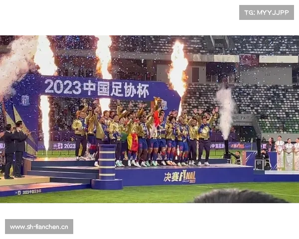 上海申花3-0山东鲁能,夺得2019赛季足协杯冠军 上海申花3-0山东鲁能,夺得2019赛季足协杯冠军